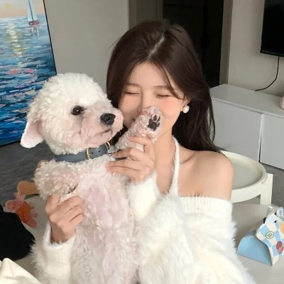 消失的收藏家